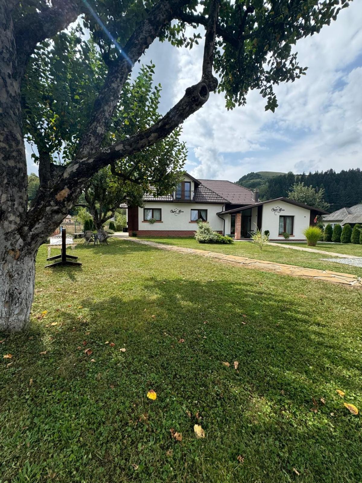 Chalet Bora Alsóvisó Kültér fotó