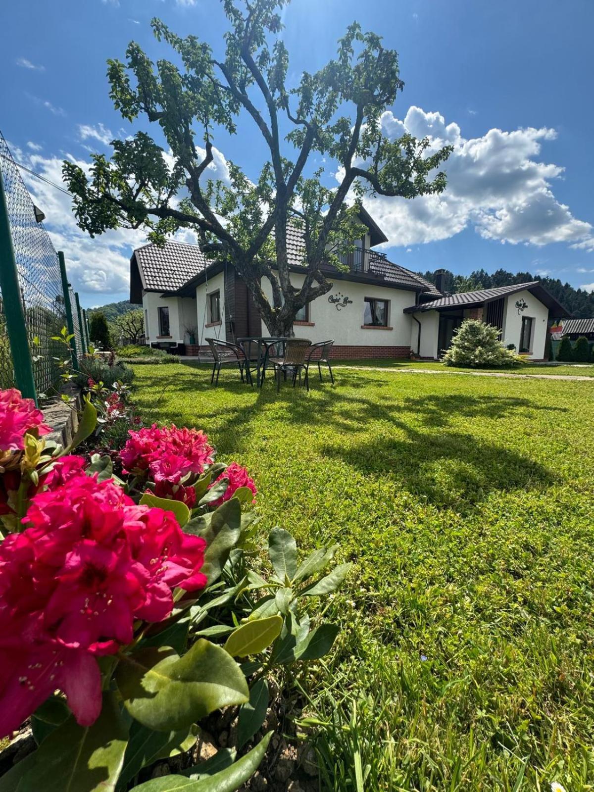 Chalet Bora Alsóvisó Kültér fotó