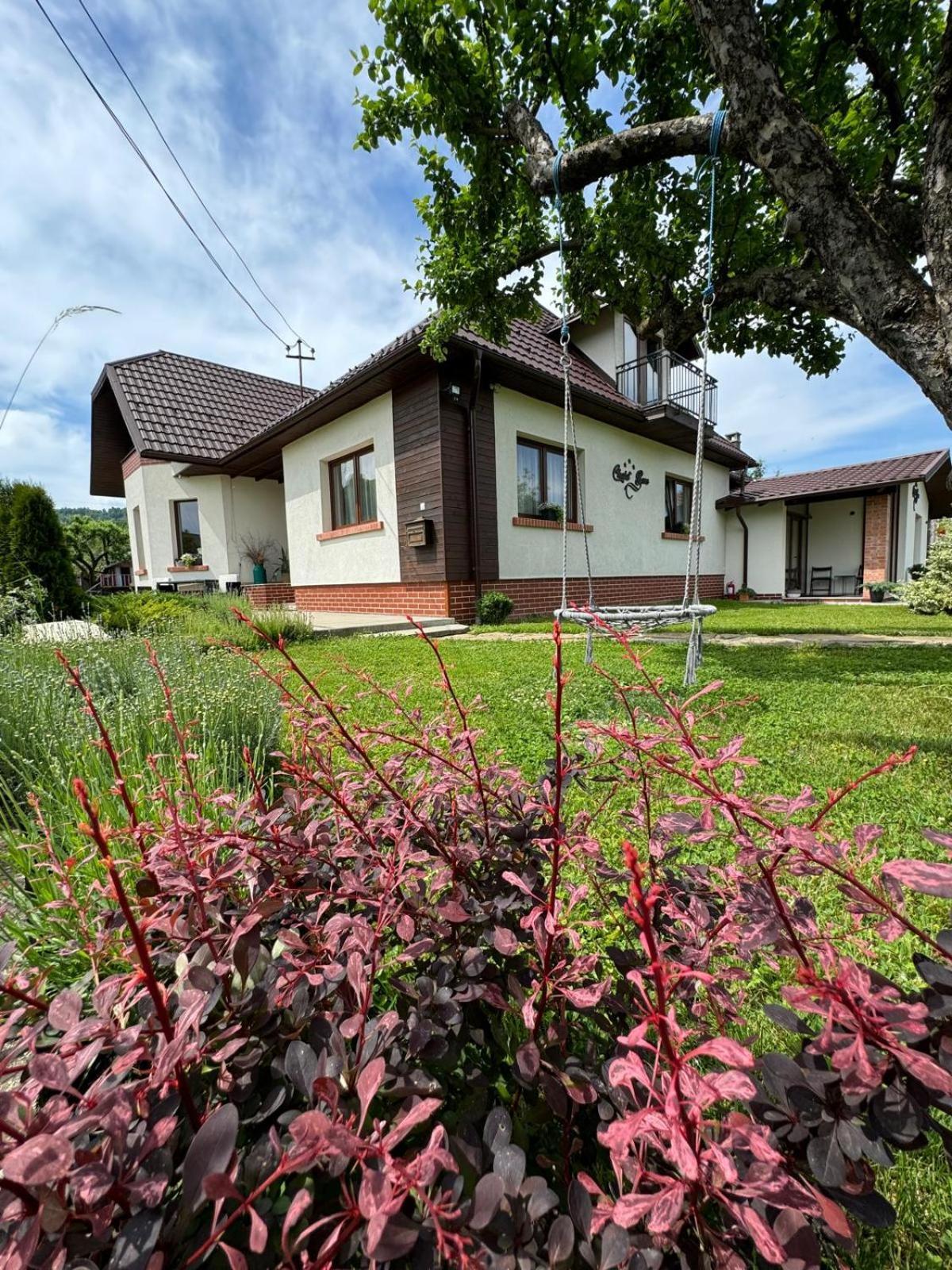 Chalet Bora Alsóvisó Kültér fotó